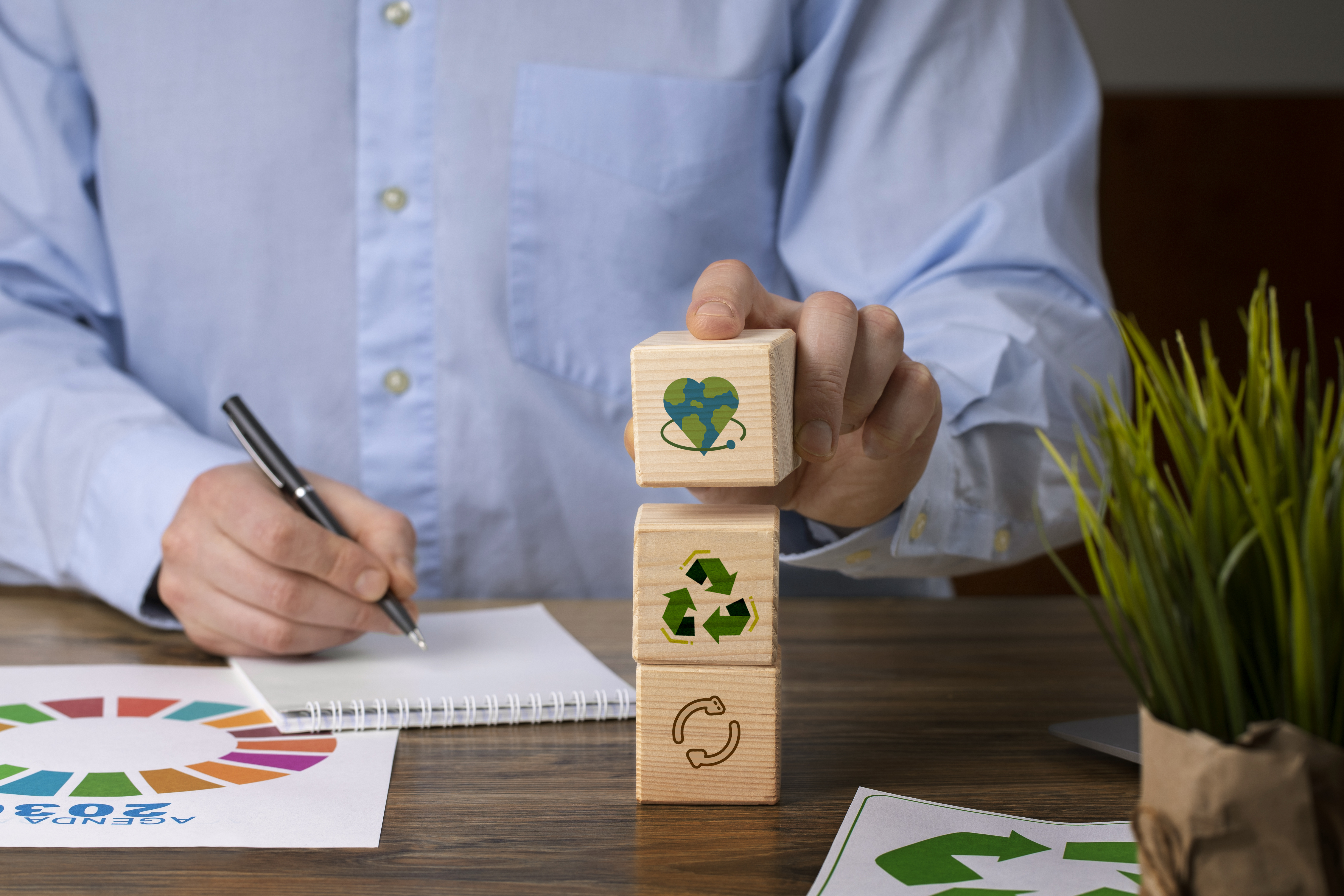Carbon Credit Insurance Policy Illustration